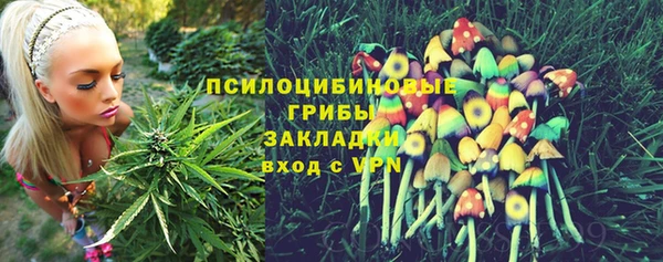 гидра Аркадак