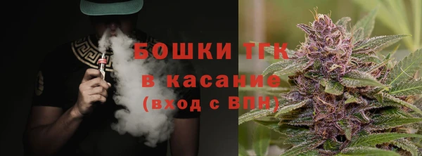 гидра Аркадак