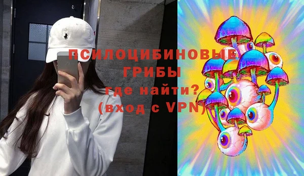 винт Арсеньев